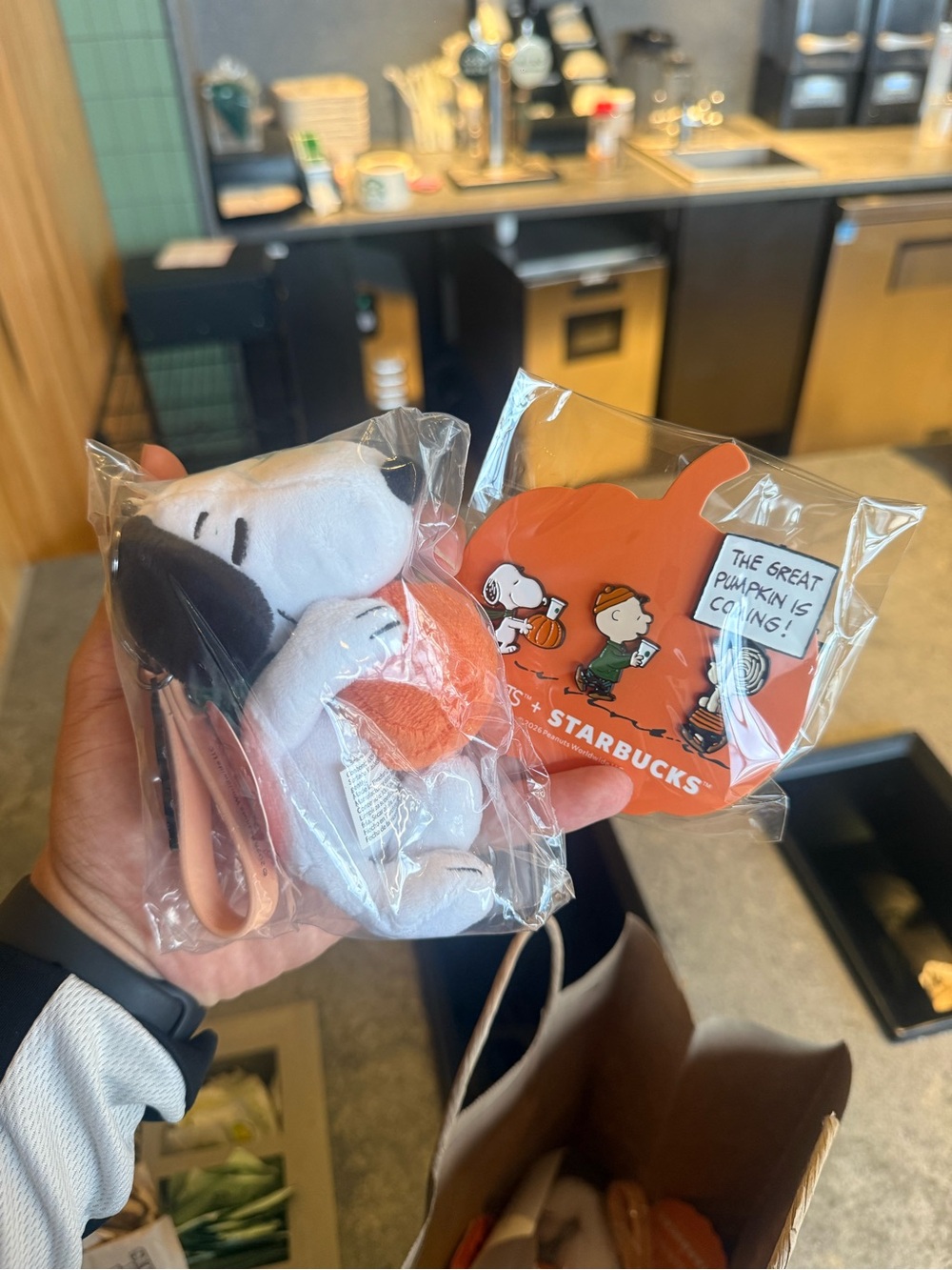 Snoopy x Starbucks Pin & Plush BUNDLE